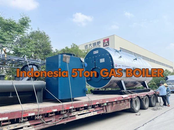 wns steam boiler,5ton boiler,5ton gas boiler