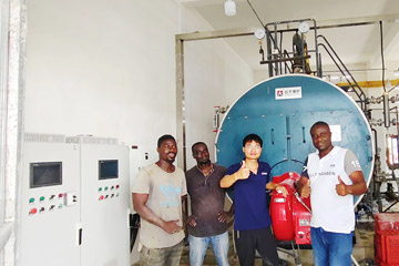 steam boiler supplier,fuel oil steam boiler,gas steam boiler