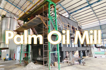 biomass boiler in palm oil mill,palm oil steam boiler,steam boiler 8ton