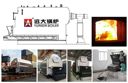 coal steam boiler,dzl boiler diagram