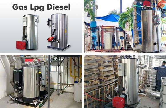 gas steam generator,diesel steam generator,lpg steam generator