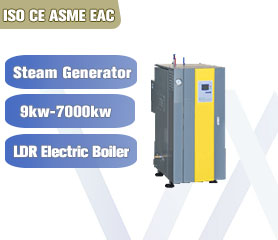 Electric Steam Generator