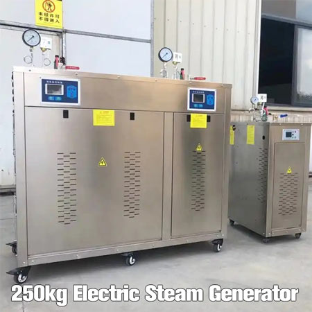 250kg steam generator,electric steam generator,automatic steam generator