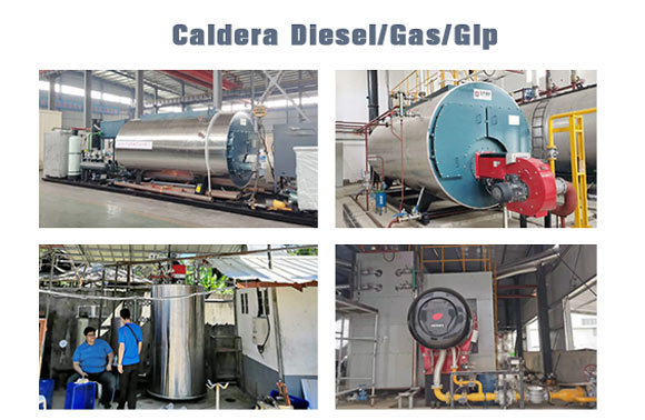 caldera diesel,caldera gas,caldera vapor aceite gas