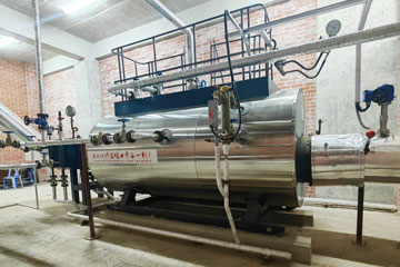 EGB steam generator boiler,exhaust gas boiler,waste heat steam boiler