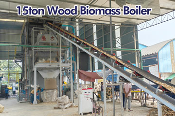 15ton biomass wood boiler,reciprocating grate biomass boiler,water tube biomass boiler