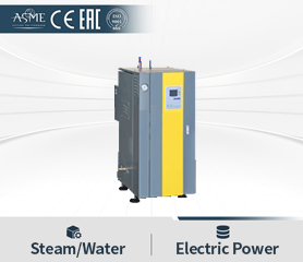 Electric Steam Generator