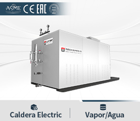 Caldera Electrica