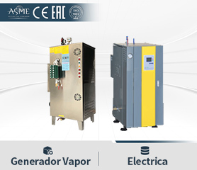 Generador De Vapor Electrico