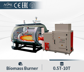 Wood Biomass Burner Boiler Sawdust Ricehusk Burner Boiler