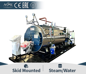 Portable Steam Generator Boiler 