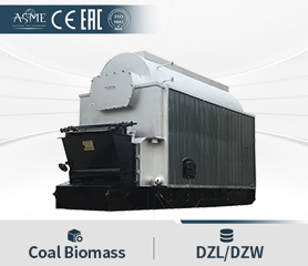 Husk Boiler Industrial Use Ricehusk Biomass Solid Fuel Boiler