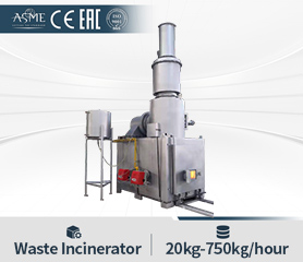 Waste Management Diesel Gas Fired Incinerator