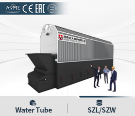 SZL Water Tube Biomass Boiler Chain Grate Boiler Reciprocating Grate Boiler