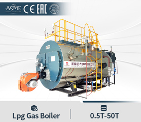 Fuel Lpg Gas Boiler Hot Water Steam Generator Boiler