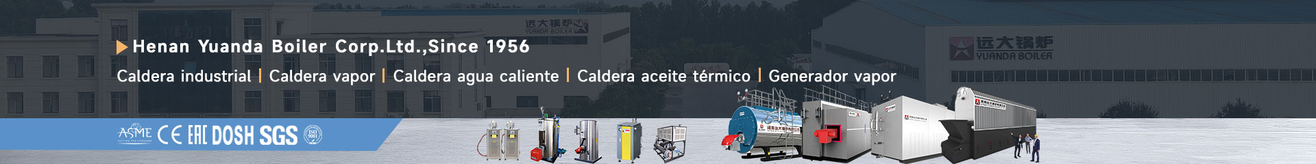 Caldera Vapor, Caldera Agua Caliente, Caldera Aceite Termico