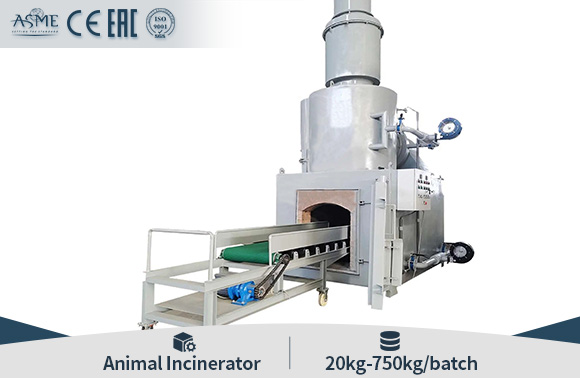 Industrial Waste Incinerator Garbage Rubbish Animal Pet Incinerator Hospital Waste Incinerator 