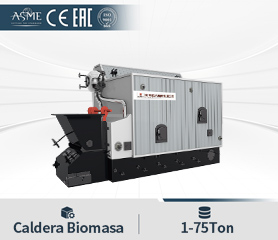 Caldera Biomasa Bagazo Madera Carbon Caldera de Combustible SCaldera de biomasa 