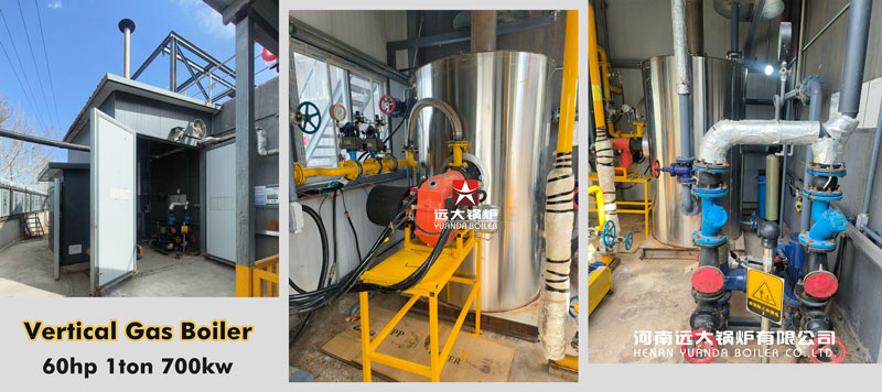 CALDERA de Vertical de 700 kW