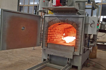 50kg Incinerador de Mascota Perro Gato animales YDF