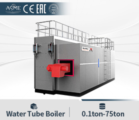 Water Tube Boiler