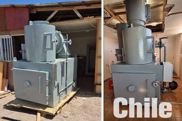 pet incinerator,cat dog cremation machine,animal incinerator