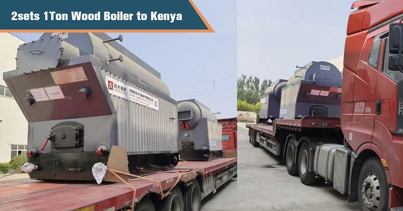 DZH Travelling Grate Wood Boiler