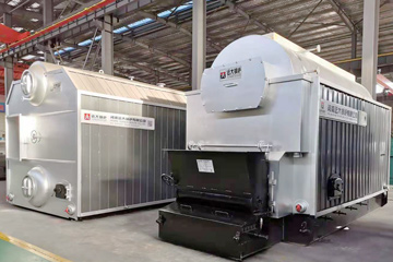 biomass boiler china,chain gate biomass boiler,dzl biomass boiler