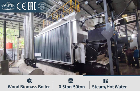 palm kernel shells steam boiler,10ton palm kernel shells boiler,pks steam boiler