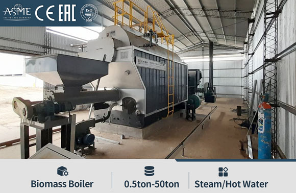 ricehusk steam boiler,olive husk fired steam boiler,biomass husk steam boiler