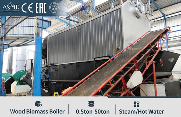 Water Tube Biomass Boiler