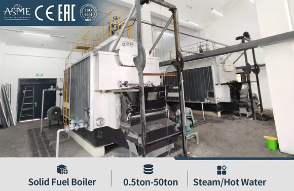 Coal Biomass Grate Stoker Boiler