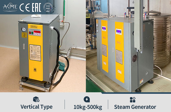 20kg 50kg 100kg 200kg 300kg 400kg 500kg 600kg 700kg 1000kg steam genenrator