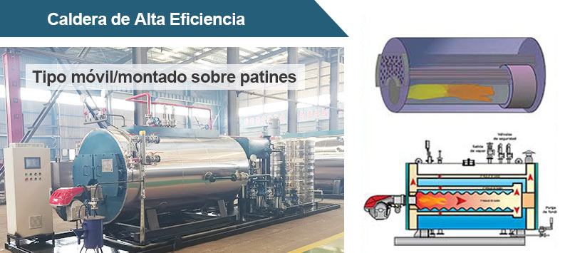 CALDERA PIROTUBULAR DE DIESEL GAS