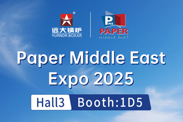 egypt paper industry expo,steam boiler for paper factory