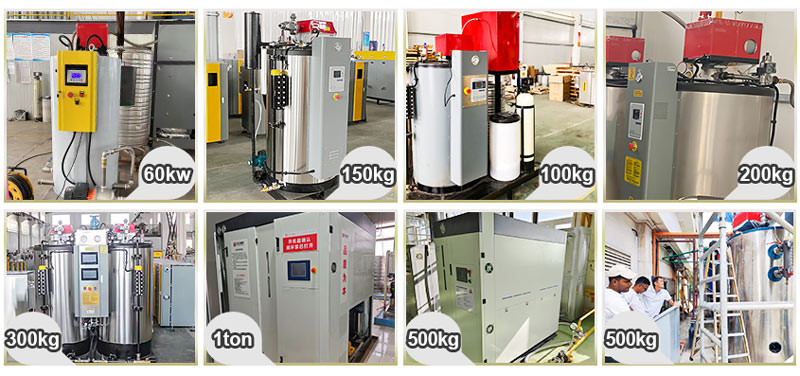 diesel steam generator,gas steam generator,lpg steam generator