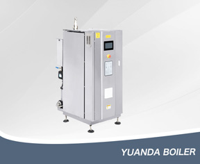 Electric Steam Generator