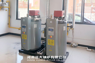 steam boiler for laundry,laundry steam generator,vertical steam boiler