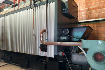 biomass boiler Poland, 4ton biomass steam boiler, pet food production boiler