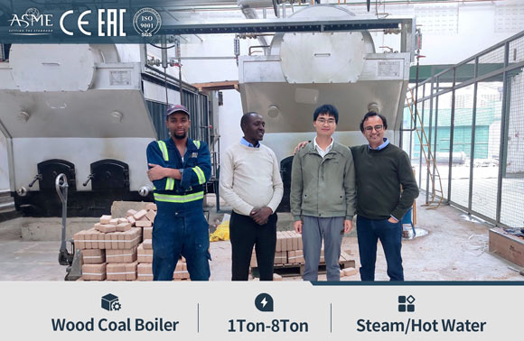 dzh coal biomass boiler,chain grate boiler,hand coal boiler