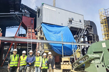 10ton biomass boiler,water tube biomass boiler,caldera vapor chile 