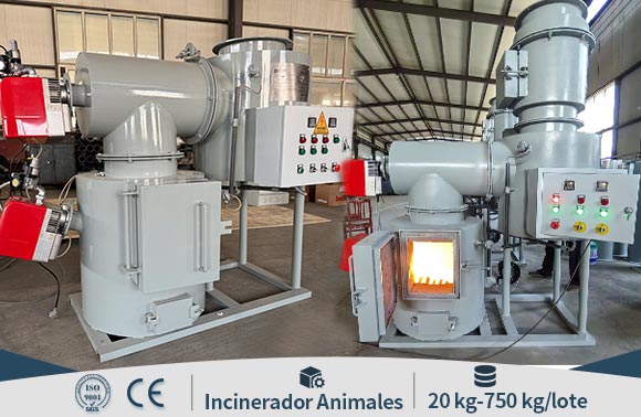 incinerador de animales en contenedores, incinerador m&oacute;vil, incinerador tipo contenedor