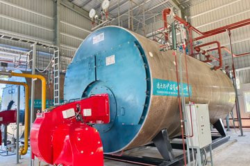gas fired boiler,horizontal steam boiler,fire tube boiler bangaldesh