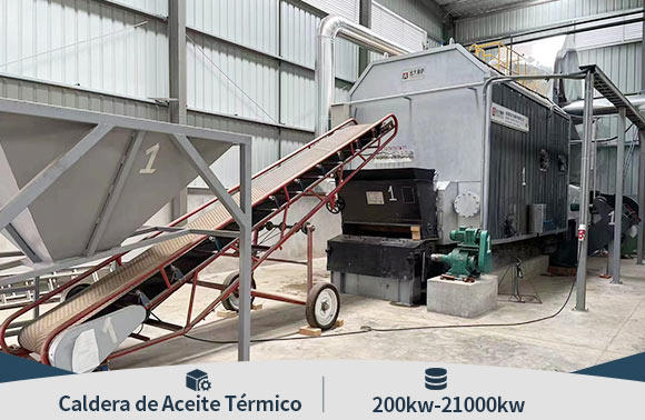 caldera de aceite t&eacute;rmico de biomasa