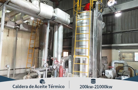 caldera a gas, caldera fuel oil, thermal oil boiler