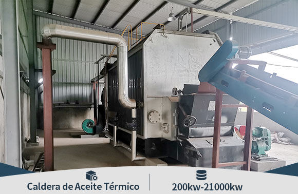 caldera t&eacute;rmica de biomasa, biomass thermal oil boiler