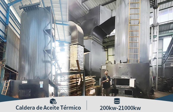 caldera industrial biomasa, caldera aceite t&eacute;rmico le&ntilde;a