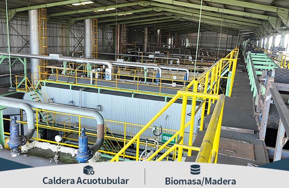 caldera biomasa industriales