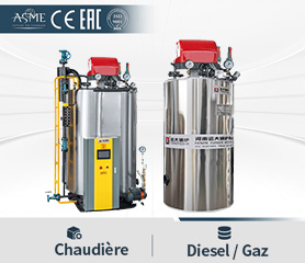 Chaudi&egrave;re Verticale Industrielle &agrave; Fuel Gaz