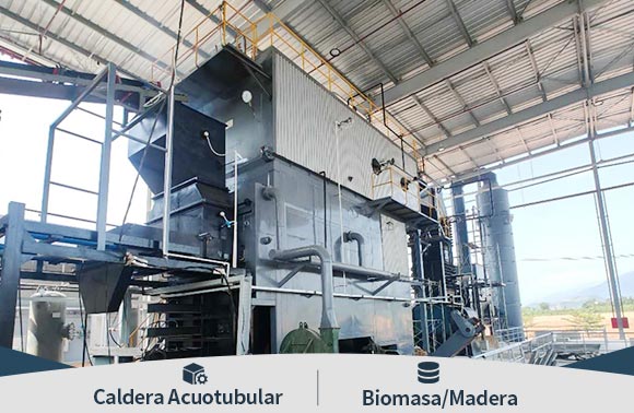 Caldera vapor de biomasa a lena